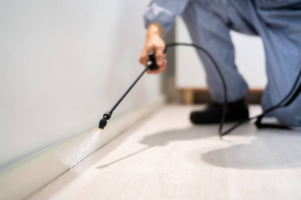 Licensed Mosquito Control service in Brice Prairie, WI - Show Me Pest Control