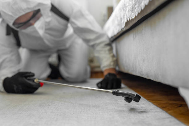 Professional Ant Control technician working in Brice Prairie, WI